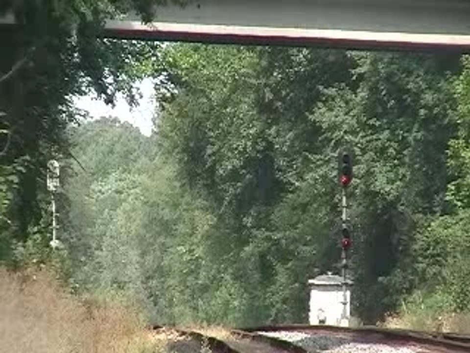 NS #204 & #212