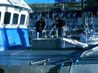 Kerguelen, peintre soldat is back (Absentès)