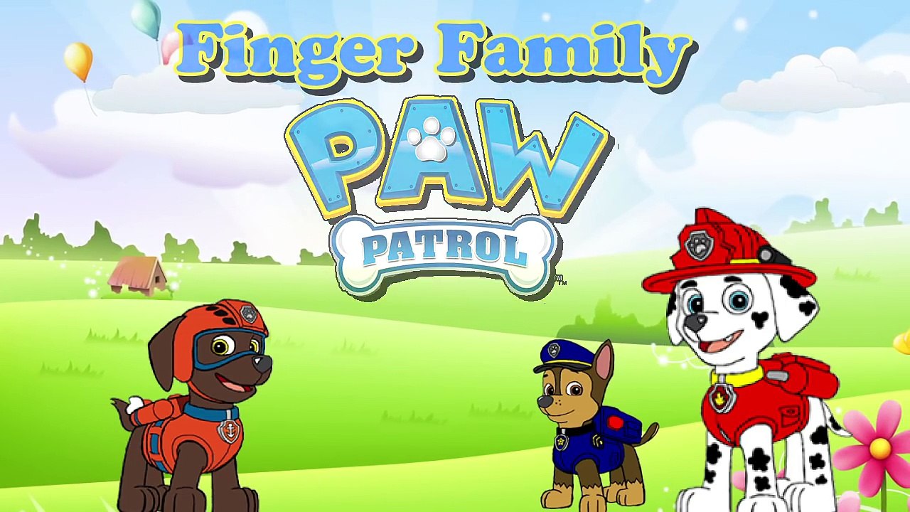 Paw Patrol Family Finger Family Collection - Finger Family Songs Paw Patrol Finger Nursery Rhymes