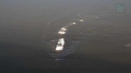 Le monstre du Loch Ness vit-il maintenant en Alaska?