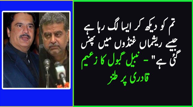 Tumhe Daikh Kar aisa Lag Raha hai ke Reshma Ghundun main Phans gai hai - Nabool Gabol to Zaeem Qadri