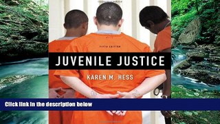Big Deals  Juvenile Justice  Full Ebooks Best Seller