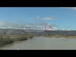 Report TV - Bashkia Lezhë dorëzohet,Gjeloshi S'i përballojmë dot përmbytjet