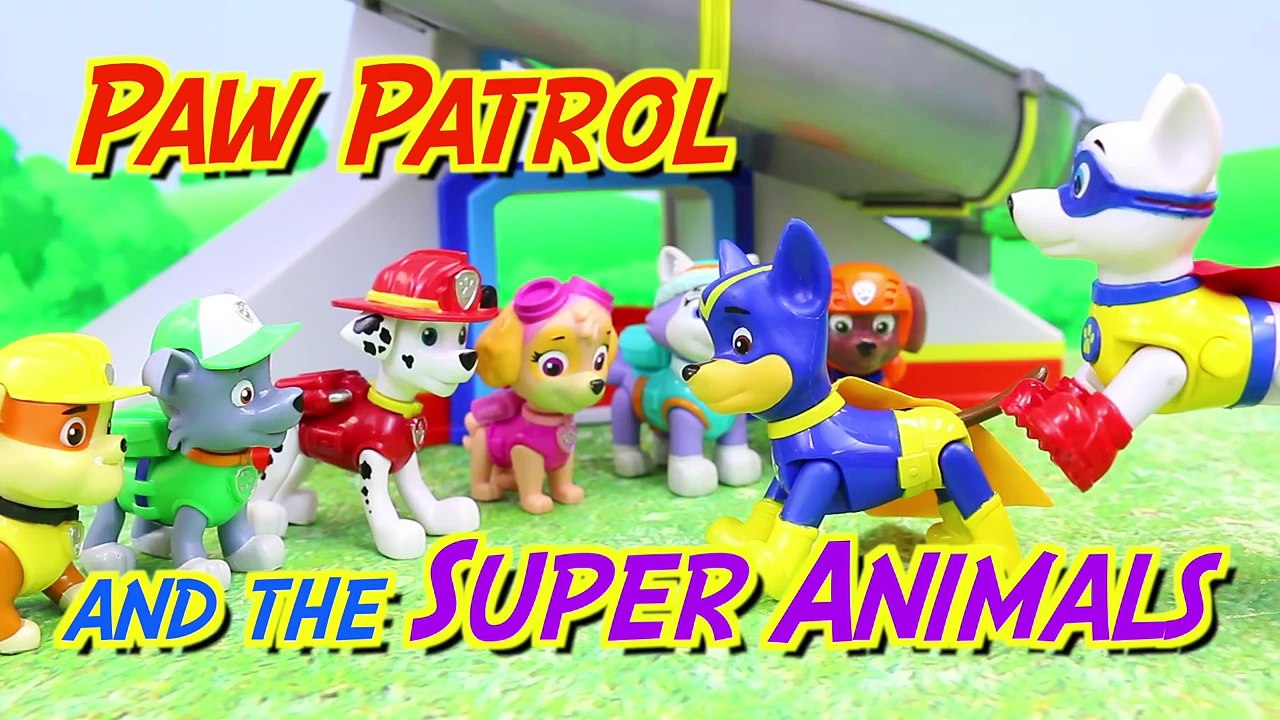 paw patrol superhero pups