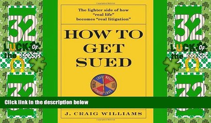 Big Deals  How to Get Sued: An Instructional Guide  Best Seller Books Best Seller