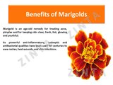 Marigold Anti Aging Beauty Pack - diy skin care recipes