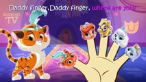Whisker Haven Tales Finger Family / Nursery Rhymes