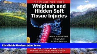 Big Deals  Whiplash and Hidden Soft Tissue Injuries: When, Where and Why to Refer Auto Accident