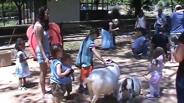 Ce gamin ne tapera plus jamais une chèvre ! Bim coup de tete