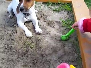 Кто скажет,зачем собаке совок?))))))
