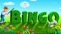 BINGO Dog Song - Nursery Rhyme With Lyrics - Cartoon Animation Rhymes & Songs for Children-dC7tUcRCS58