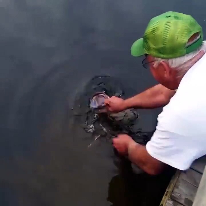 الصيد بلا قصبة ولا شباك عجيب