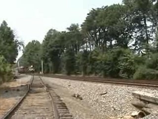 NS 204 at Paw Creek.