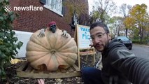 Man plays harmonica inside a massive, 800lbs pumpkin, and it sounds awesome