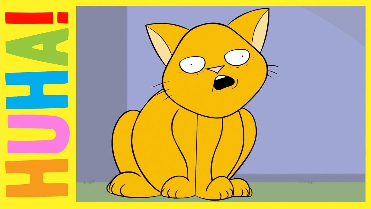 Die katze die nicht glauben wollte | huha short shorts