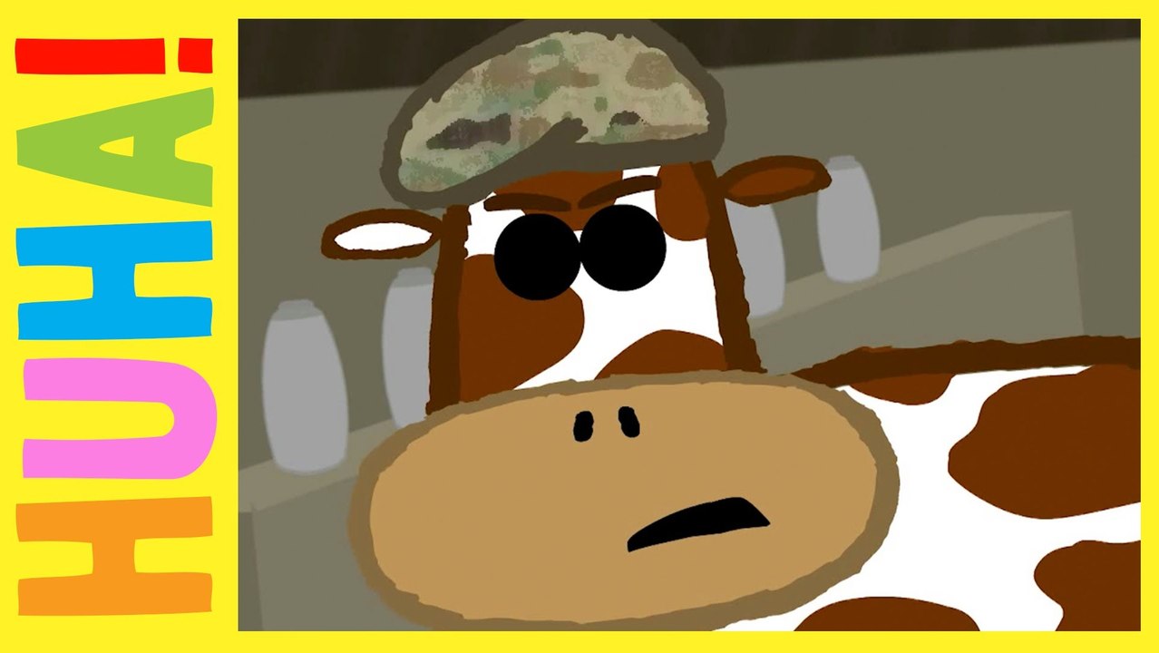 Major Beef | HuHa Short Shorts