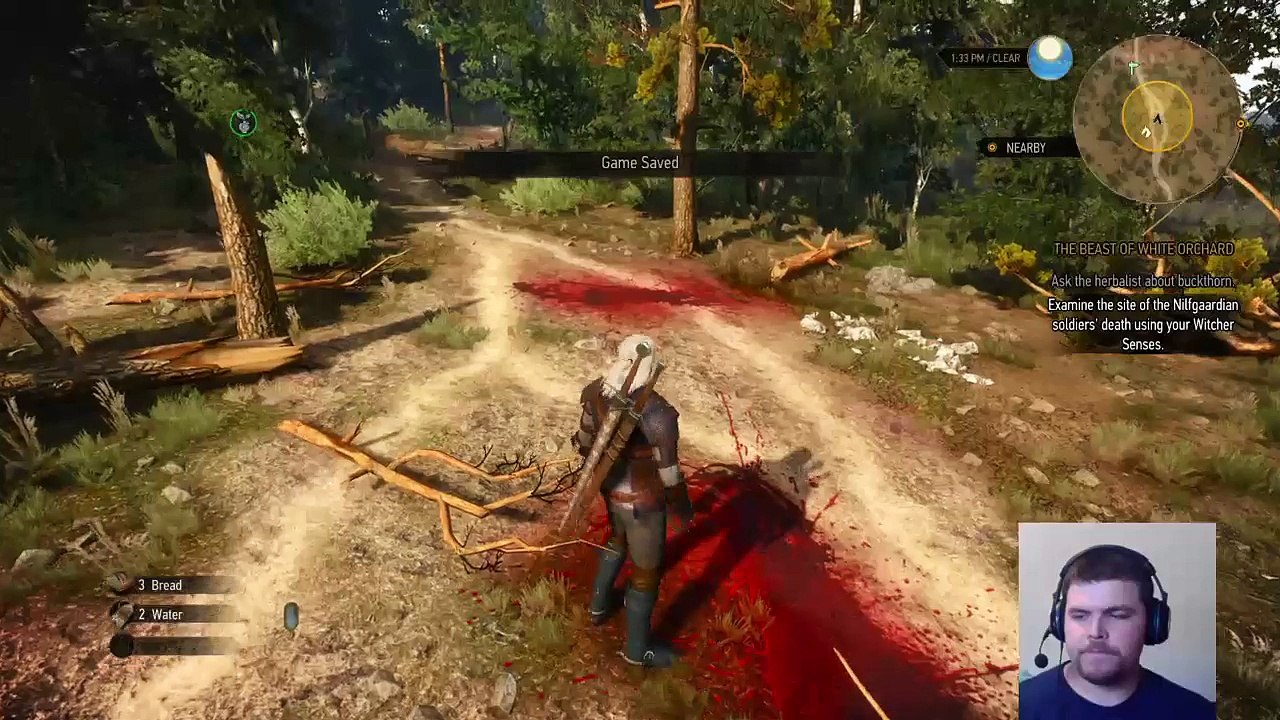 The Witcher 3 (4)