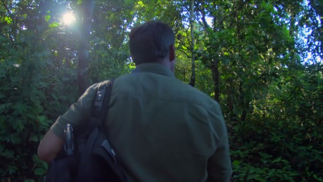 Somos el Sol, somos energía, somos IntiNetwork, tu canal de bienestar