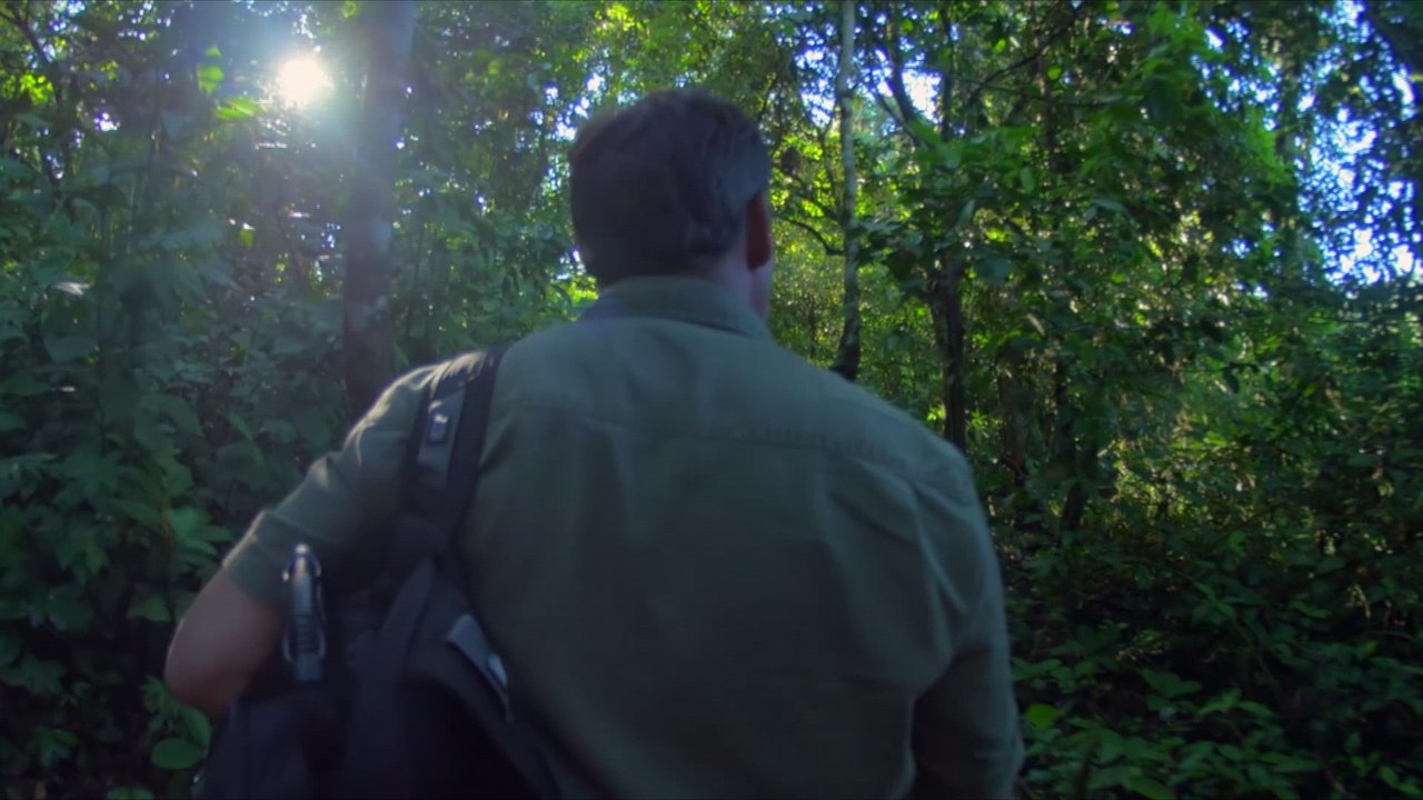 Somos el Sol, somos energía, somos IntiNetwork, tu canal de bienestar