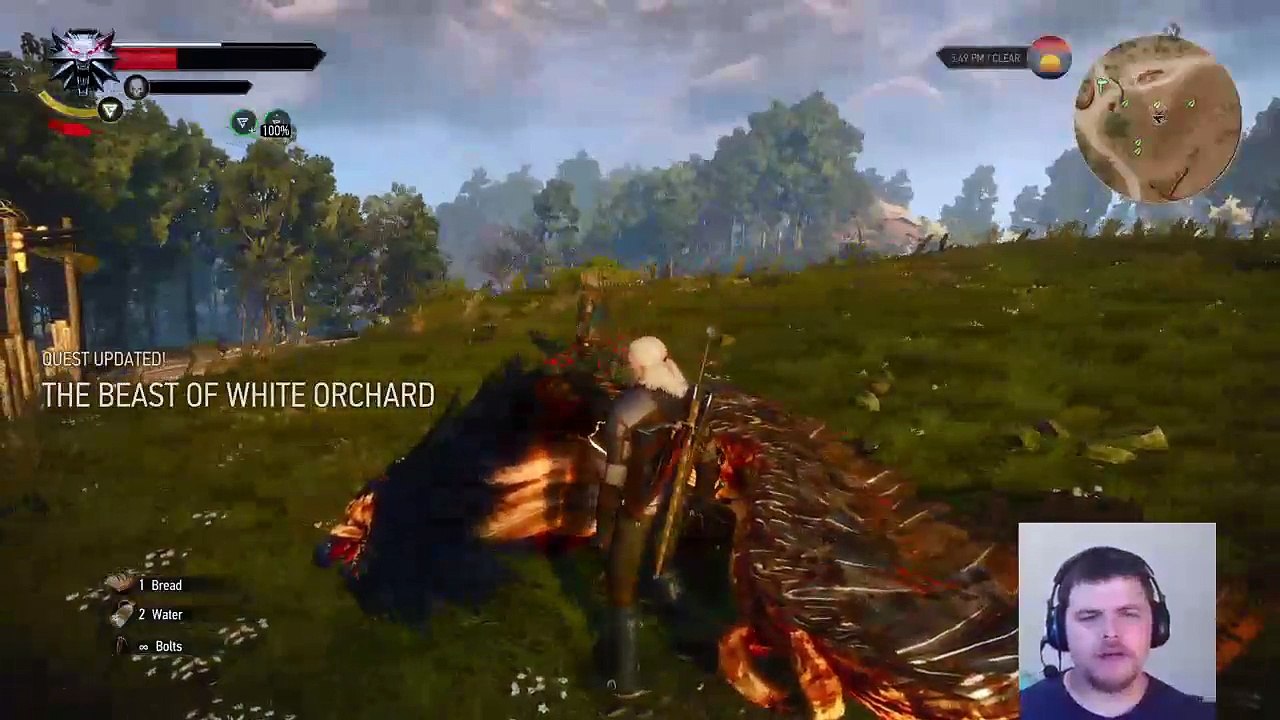 The Witcher 3 (5)