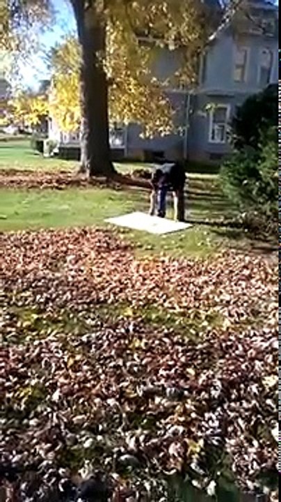 Uzeo je veliki komad kartona, a ono što je potom uradio ODUŠEVILO je komšiluk!