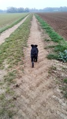 Première Sortie Sans Harnais