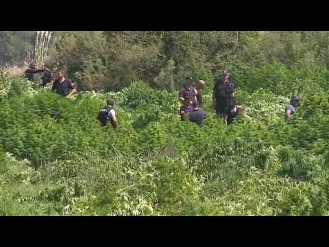 Hashashi, Nishani: Do mbledh Këshillin e Sigurisë Kombëtare - Top Channel Albania - News - Lajme