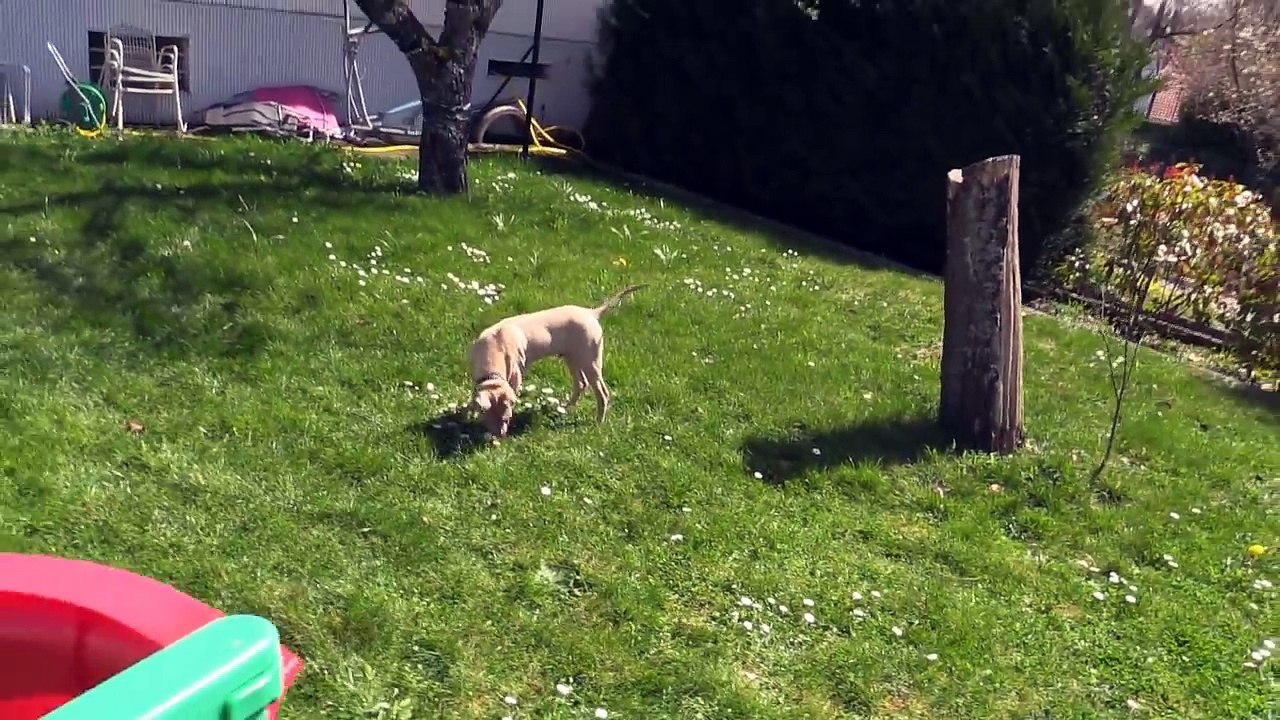 Live Stream : Manchester City vs Barcelona | Champions Leagues 01/11/2016