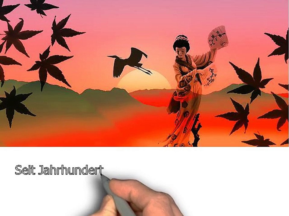 Ratgeber zur Fernöstlichen Kampf- und Lebenskunst.