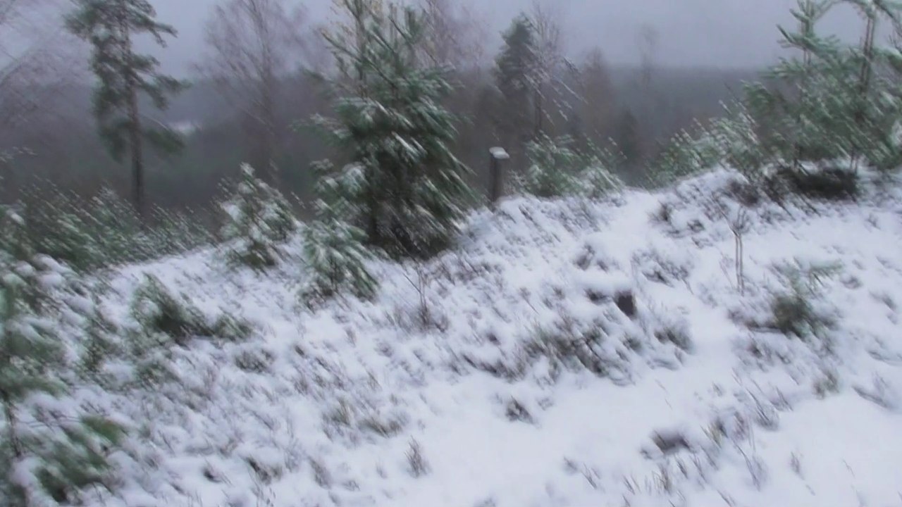 Nov 1 2016 4