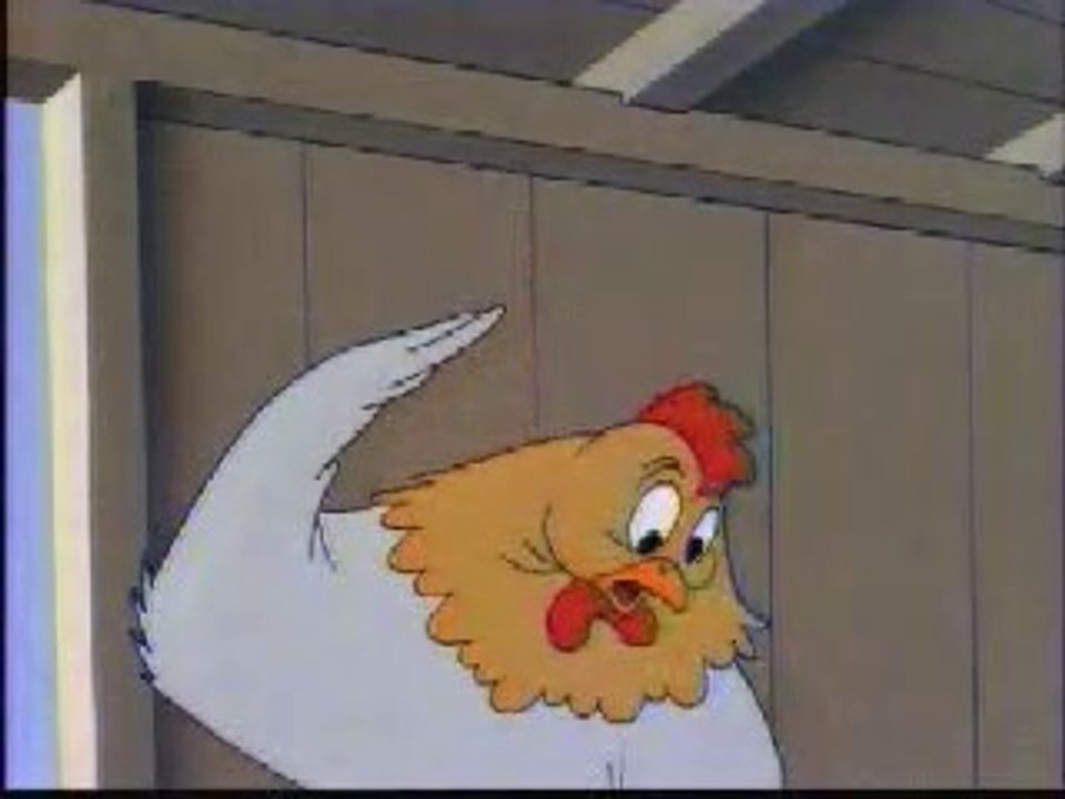 Les poules couvent, le coq surveille