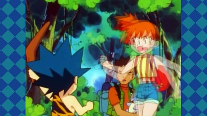 Mistys Boobs - Rare Candys