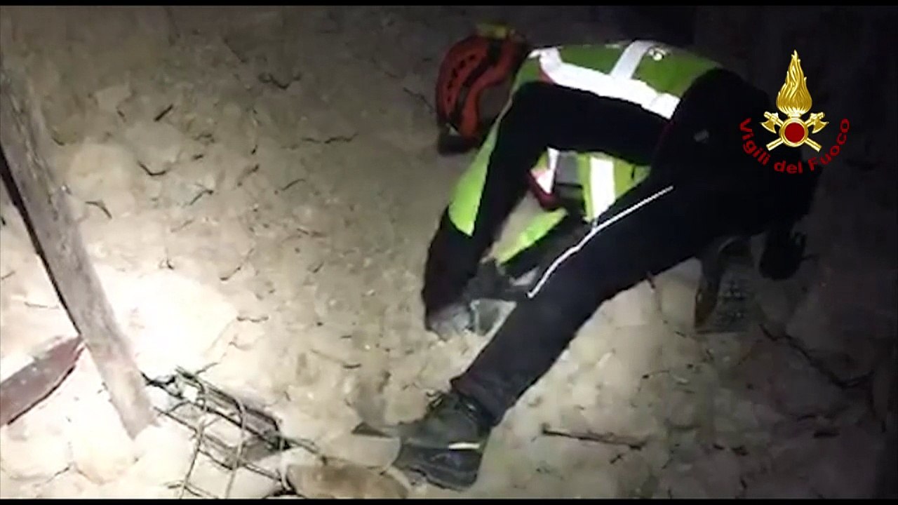 Italian firefighters rescue dog from earthquake debris