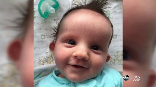 Le cœur d'un bébé arrête de battre. Quand le chien fait? ÇA La famille n'en revient pas.