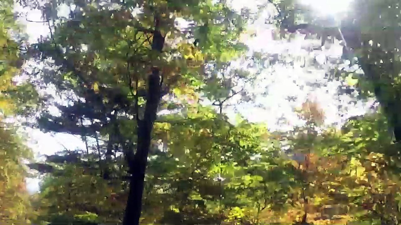 Catskills Fall 2016
