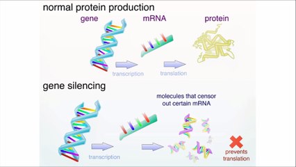 Natural Huntington's Disease Treatments That Actually Work