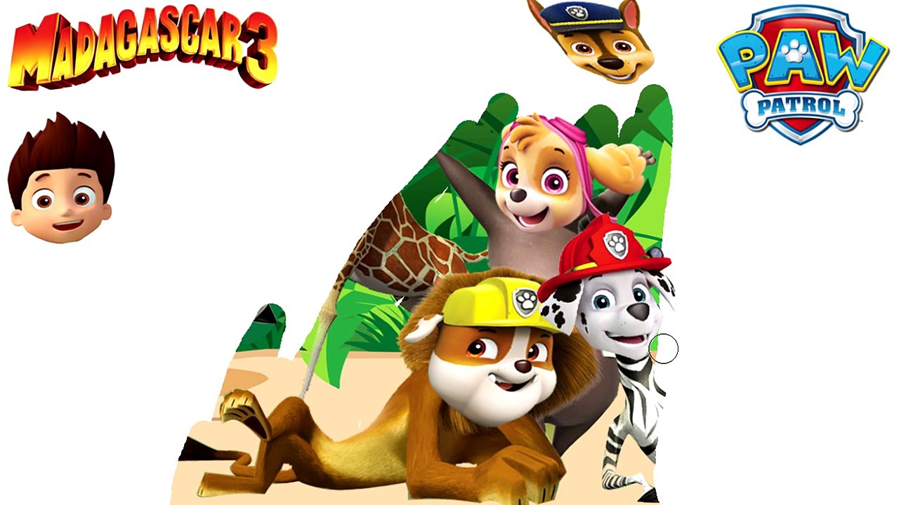 PAW PATROL en español Se Disfraza MADAGASCAR│Paint for kids│LA PATRULLA CANINA capitulos completos