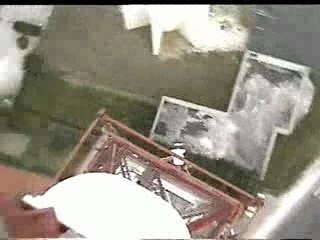 WAPO AOC ANTENNE ROYAN