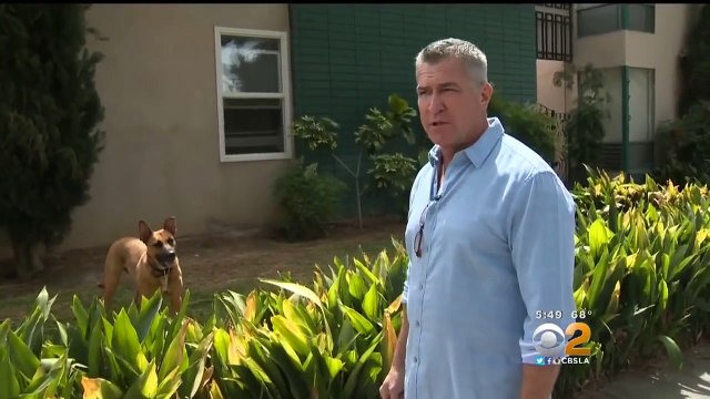 Un chien aboie pour attirer l'attention de son maître. Quand il s'approche et voit ÇA! Incroyable!