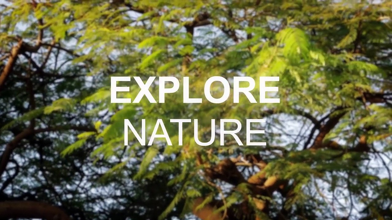 Cách chơi game Pokémon GO sẽ như thế nào-UkI_xX9alfo