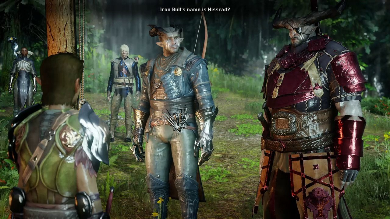 Dragon Age™: Inquisition_20161101212102