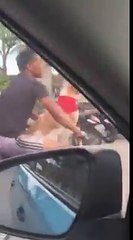 perro sensual pasea en bicicleta