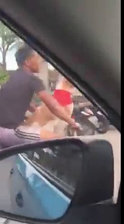 perro sensual pasea en bicicleta