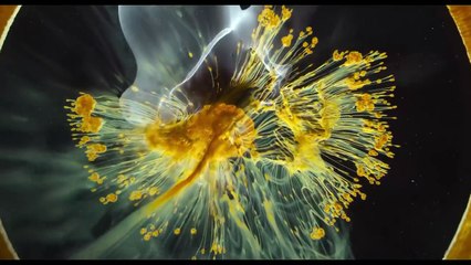 VOYAGE OF TIME Trailer (Brad Pitt, Terrence Malick - Documentary, 2016)