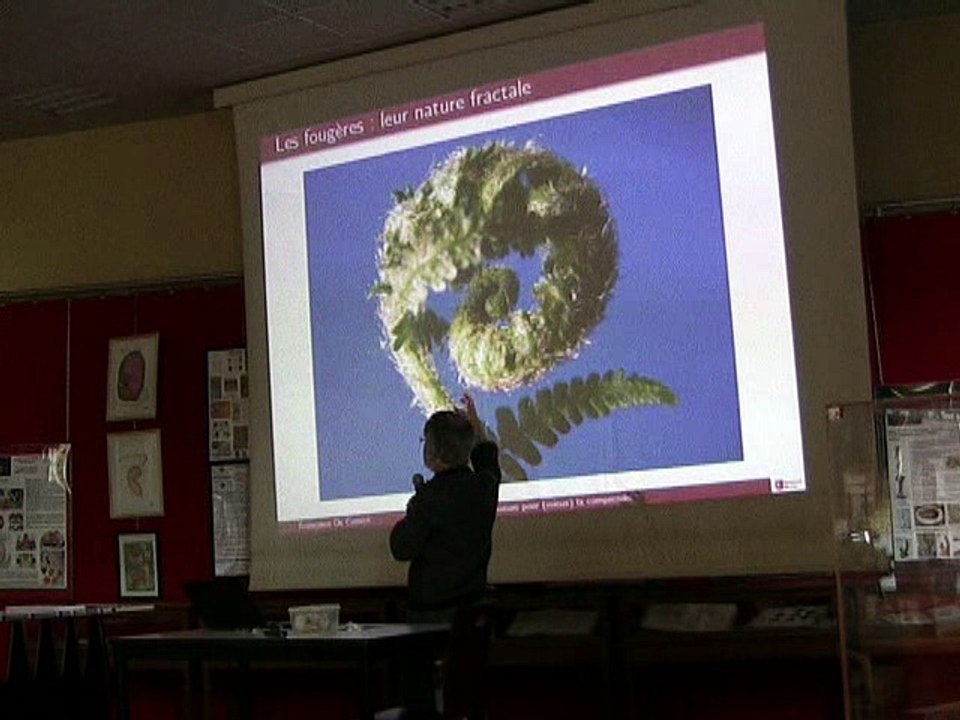 IS2016-DeCOMITE