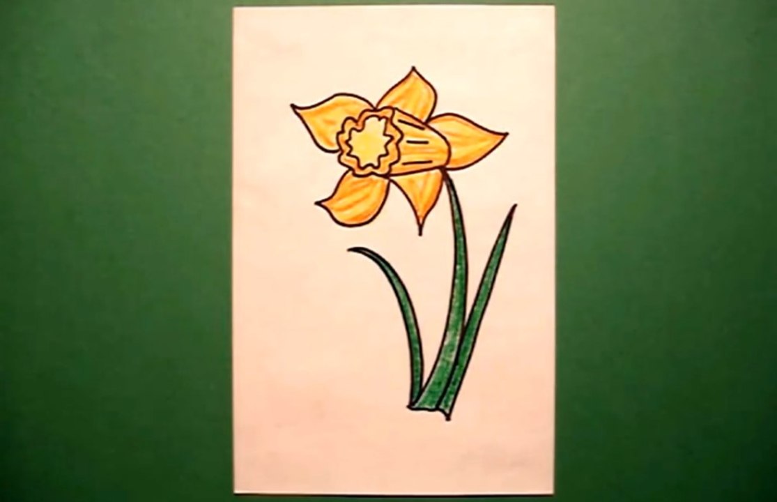 Let's Draw a Daffodil!