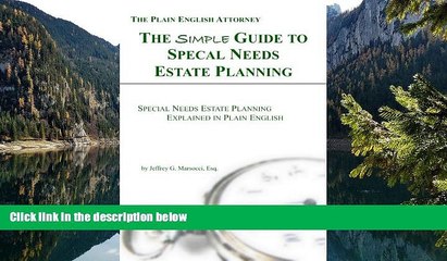 Big Deals  The Simple Guide to Special Needs Estate Planning: Special Needs Estate Planning