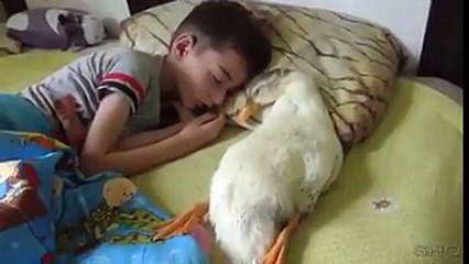 When you walk by someone playing powwow music