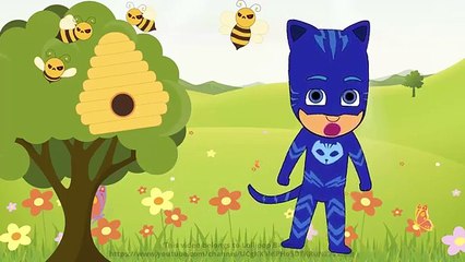 Masha And The Bear with PJ Masks Catboy cry when eat lots of Ice cream - YouTube