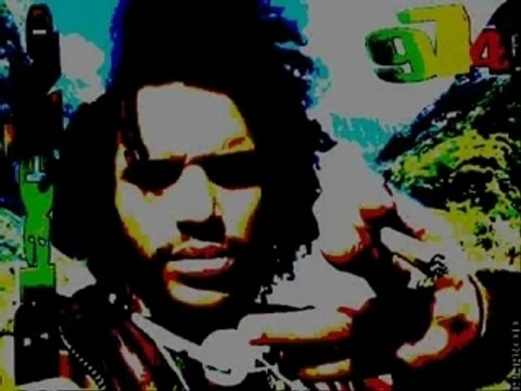 Blacko solitary lion